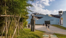 Spring Coming with the Wind through the Bamboo Forest!: Recommended Tour : Themed Tour : Themed Tour: 부산시 공식 관광 포털... 