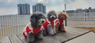 코코스퀘어: 부산에가면 : 명소 : 명소 상세: 부산시 공식 관광... busan 코코스퀘어: 부산에가면 : 명소 : 명소 상세: 부산시 공식 관광... 