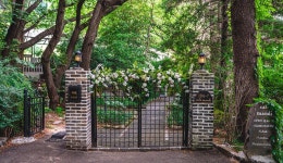 부산 산만디에 숨은 동화 같은 숲속 뷰 감성 카페 ‘카페 만디’: 부산에가면 : 명소 : 명소 상세: 부산시 공식 관광 포털 비짓부산 visit... 