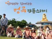 국내 최초 반려견 동반 당일형 멍콕 템플스테이: 추천여행 : 테마여행 : 테마여행 상세: 부산시 공식 관광 포털 비짓부산 visit busan 국내... 