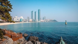화려한 자연경관과 오랜 역사가 한데 어우러진 ‘동백섬’: 부산에가면 : 명소 : 명소 상세: 부산시 공식 관광 포털 비짓부산 visit busan... 