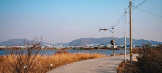 낙동강 강변뷰가 아름다운 섬 ‘중사도’에서 특별한 자연 여행... 섬 ‘중사도’에서 특별한 자연 여행: 부산에가면 : 명소 : 명소 상세... 