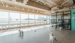 오션뷰가 매력적인 복합 애견카페 ‘도그민’: 추천여행 : 체험... 애견카페 ‘도그민’: 추천여행 : 체험·해양 : 체험·해양 상세: 부산시... 