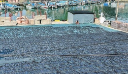 체험하며 만나는 진짜 부산 바다, 공수어촌체험휴양마을: 추천여행 : 체험·해양 : 체험·해양 상세: 부산시 공식 관광 포털 비짓부산 visit... 