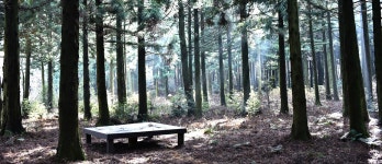 Bulgeun Oreum Volcanic Cone (Pyoseon-myeon) - VISIT JEJU