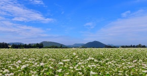 6월에 놓치지 말아야 할 관광 10선 <이색적인 모험, 디스커버 제주 10> - VISIT JEJU