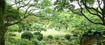 방림원 - VISIT JEJU