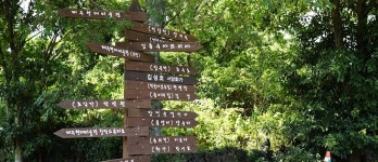 楮旨芸術人村 - VISIT JEJU