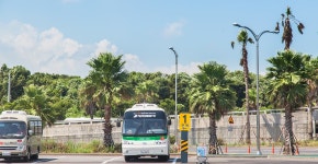 Traffic Information 비짓제주 VISITJEJU - 제주도 공식 관광정보 포털
