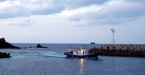 Visit Jeju : Staying active in winter: Winter Jeju, Thrilling Activities Staying active in winter: Winter Jeju, Thrilling Activities