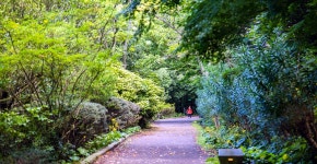 Healing tour for travelers: Healing Tour with Refreshing Food & Relaxing Walks