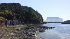성산·오조 지질트레일 - VISIT JEJU
