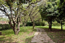 걸매생태공원 - VISIT JEJU