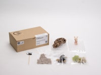 [실내 가드닝 프로젝트] 책상위에 만드는 나만의 작은 정원