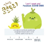 더 코코트리 코코넛워터 더 건강한 대안음료 프로젝트 by 어니스트브릿지 주식회사