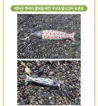 [울산] 마을기업 수다장이의 다문화 여성들 [디딤돌] 프로젝트 [울산] 마을기업 수다장이의  다문화 여성들 [디딤돌] 프로젝트