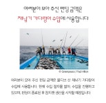 바다를 지키는 착한참치