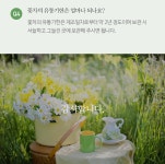 따뜻한 세상을 만드는 향기로운 꽃차