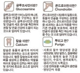 우리집 반려동물 건강, 어떻게 관리하고 계시나요? by GUPUP.INC (구펍)