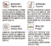 우리집 반려동물 건강, 어떻게 관리하고 계시나요? by GUPUP.INC (구펍)
