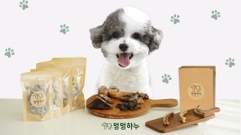 300마리 강아지의 선택을 받은 간식! 멍멍하누 수제간식세트 by 멍멍하누 | 와디즈