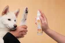 [자체특허]강아지가 좋아하는 향이라구요? 3초에 끝내는 홈스파 #프룻댕댕 by Pet`s Thing | wadiz [자체특허]강아지가 좋아하는... 