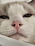 [무자본 창업!] 퇴근 후 100만원 더 벌었던 메타버스 수익화 노하우!