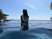 다시 돌아온 댕댕이랑 시골여행, 이번엔 남해로 떠나는 촌캉스다! 다시 돌아온 댕댕이랑 시골여행, 이번엔 남해로 떠나는 촌캉스다! 