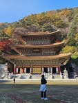 [1억뷰 데이브쌤] 하루 10분 랜선 여행 하다보면 나도 영어회화가 술술
