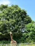 흑백세탁 같이 하는 방법! 비용+시간 절약해주는 고중량 이염방지 시트  흑백세탁 같이 하는 방법! 비용+시간 절약해주는 고중량 이염방지 시트
