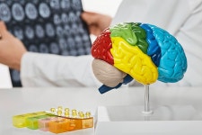 치매예방관리사업 : 완도군보건의료원(2025)