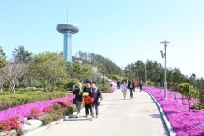 완도타워에서 봄바람을 느껴보세요 - 완도군 완도타워에서 봄바람을 느껴보세요