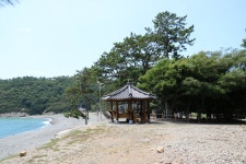 미라리 상록수림 - Wando tour 미라리 상록수림