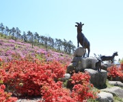 삼문산 : 완도문화관광