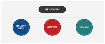 연구소 소개 > 연구소 > 대학원 > 원광디지털대학교 원광디지털대학교