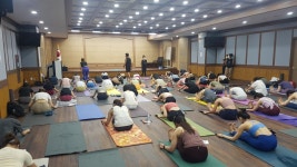 학과소식 > 요가명상학과 > 웰빙건강학부 > 학과소개 > 원광디지털대학교 원광디지털대학교
