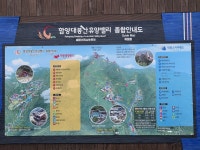 학과소식 > 한방건강약선학과 > 웰빙건강학부 > 학과소개 > 원광디지털대학교 원광디지털대학교