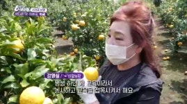 학과소식 > 웰니스문화관광학과 > 웰빙건강학부 > 학과소개 > 원광디지털대학교 원광디지털대학교