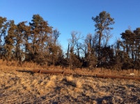 Dec. 25, 2016: Brief Tornadoes and Hurricane Force Winds Impact SC Nebraska and NC Kansas. First Christmas Tornadoes In the Local... 