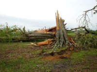 NWS LIX - March 2009 Independence Tornado page