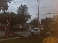 August 10-11, 2021: Multiple Rounds of Severe Thunderstorms Produce Widespread Wind Damage