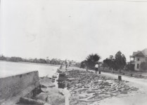 Tampa Bay / Tarpon Springs Hurricane of 1921