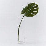 west elm 몬스테라 리프_31.5(그린)