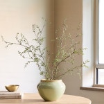 west elm 포티드 스피키 펀(그린)