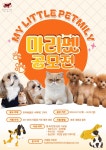 2024 마리펫(마이 리틀 펫밀리) 반려동물 콘텐츠 슬로건 공모전... 위비티 2024 마리펫(마이 리틀 펫밀리) 반려동물 콘텐츠 슬로건 공모전