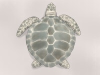 3 Easy Ways to Identify Turtles - wikiHow