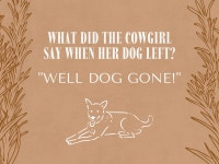 43 Cowboy Pickup Lines to Use at Your Next Rodeo