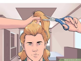 How to Grow a Mullet: 12 Steps (with Pictures) - wikiHow