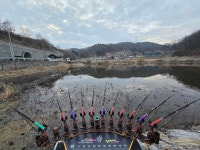 낚시용품전문 중고장터 > 강포 팔아요