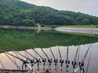 낚시용품전문 중고장터 > 강포 파라요